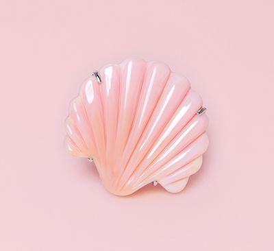 Queen Conch/SS Clam Shell Ring