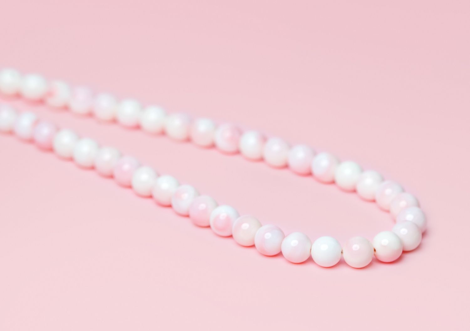 Queen Conch/SS 16&quot; 8MM Necklace