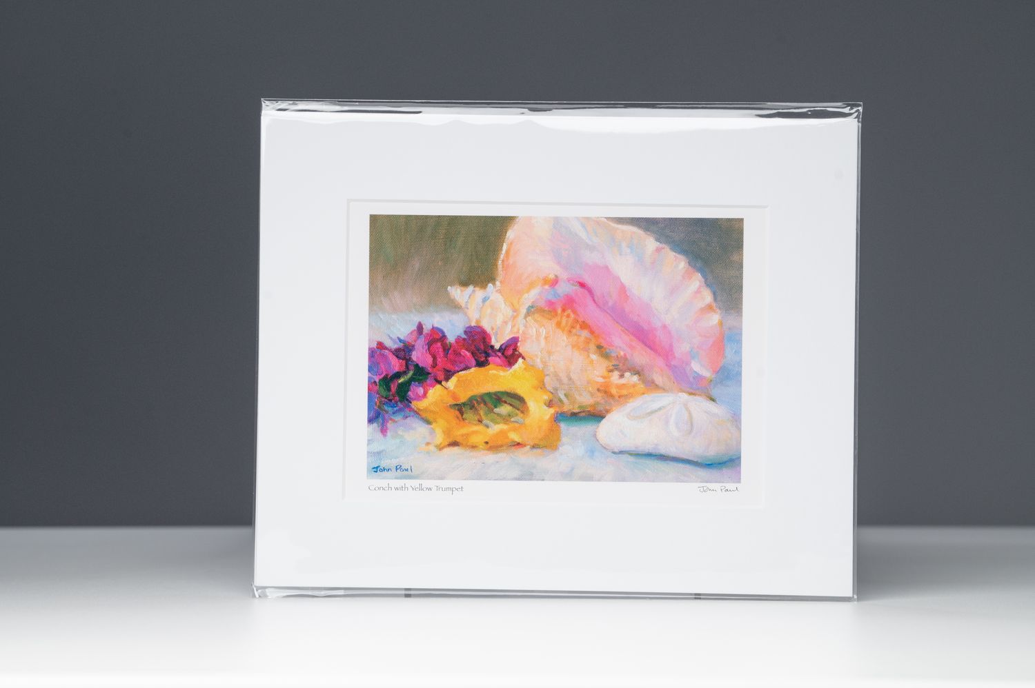 8 X 10 - Conch with Yellow Trumpet Print
