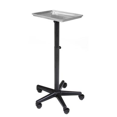 STAINLESS STEEL TRAY