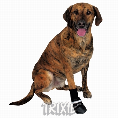 Walker Professional Bootie