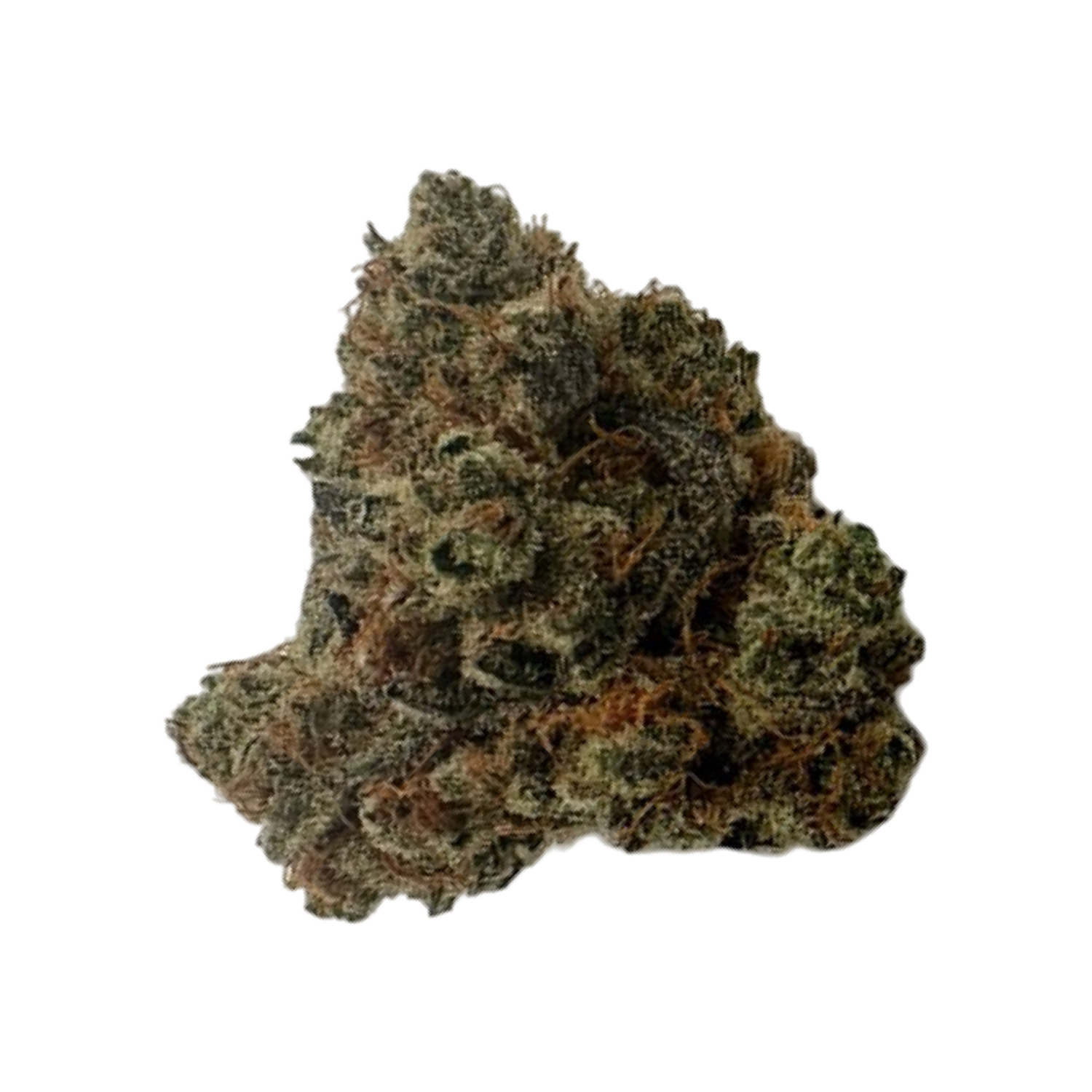 [GOLD] Candyman