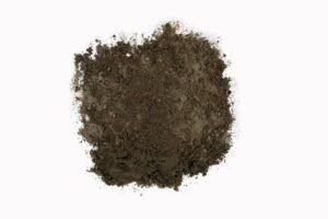 Washed Play Sand