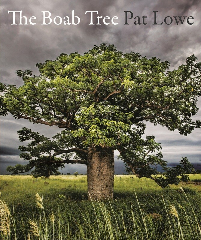 &quot;The Boab Tree&quot; by Pat Lowe