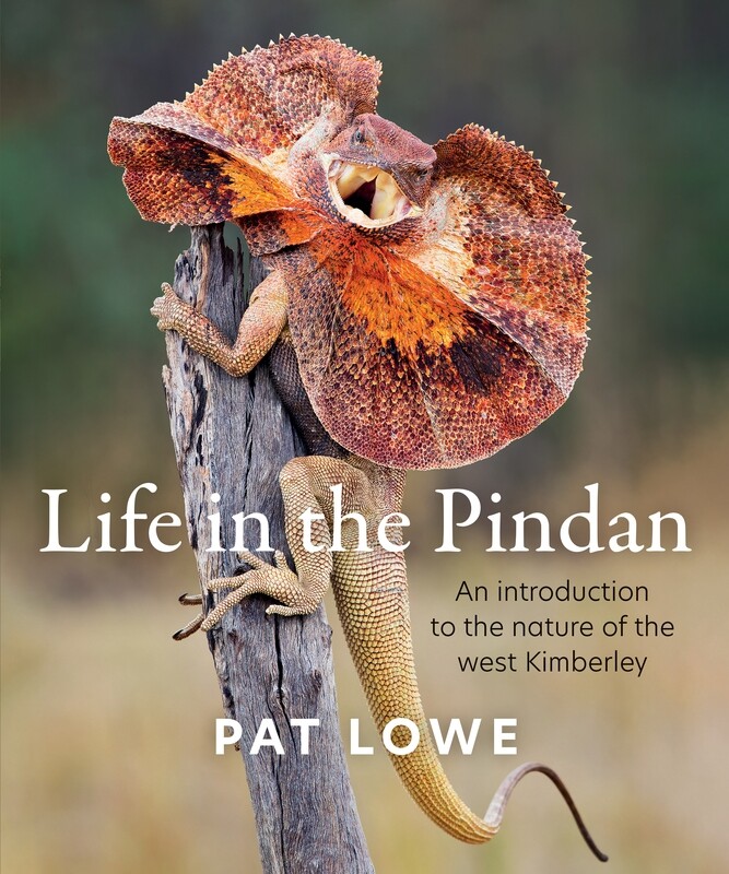 &quot;Life in the Pindan&quot; by Pat Lowe