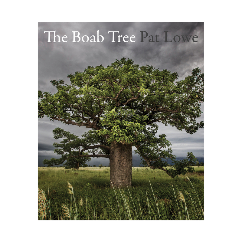 "The Boab Tree" by Pat Lowe