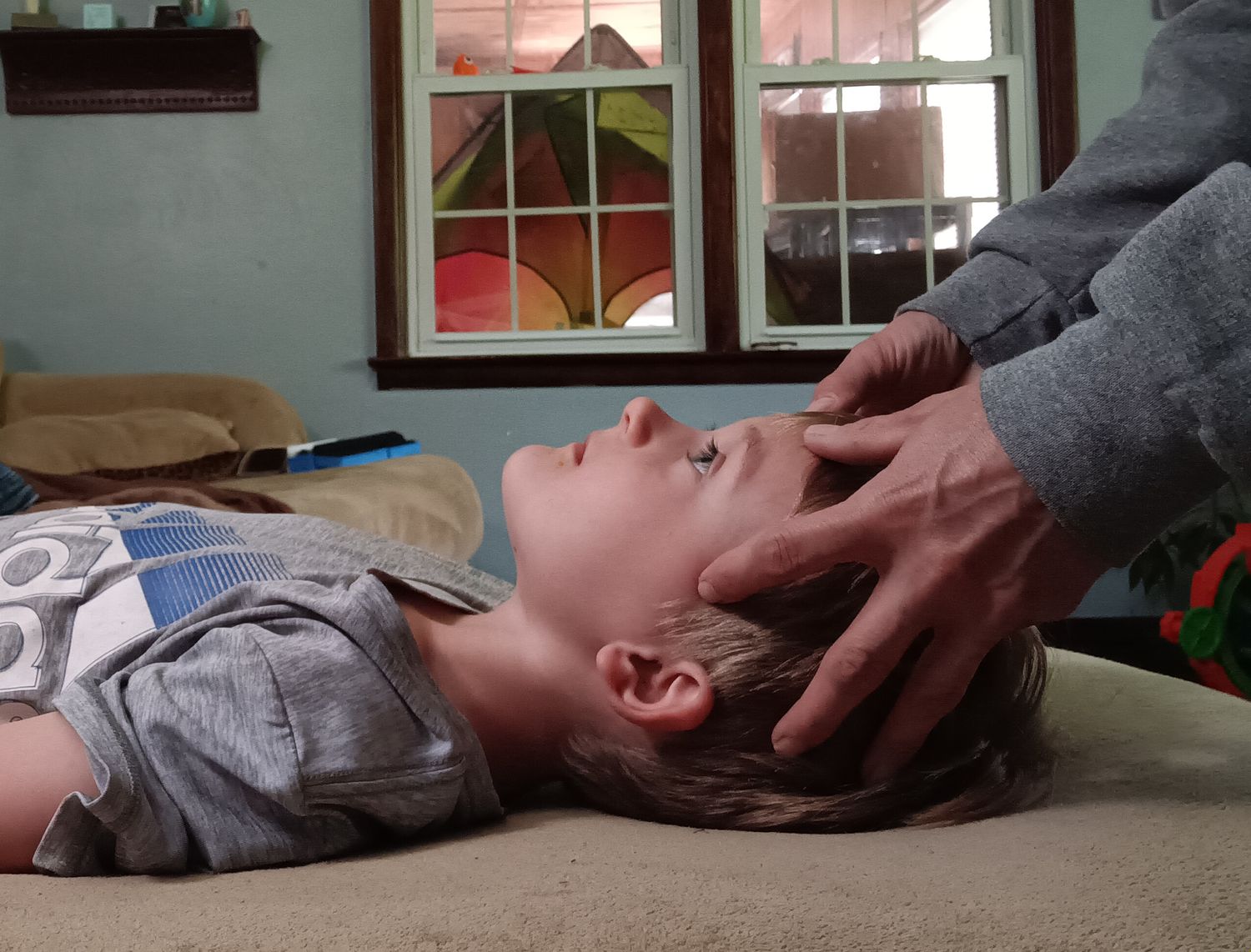 30 Minute Access Bars Session for Bee Phobia and Fears (Coupon Code Not Valid)