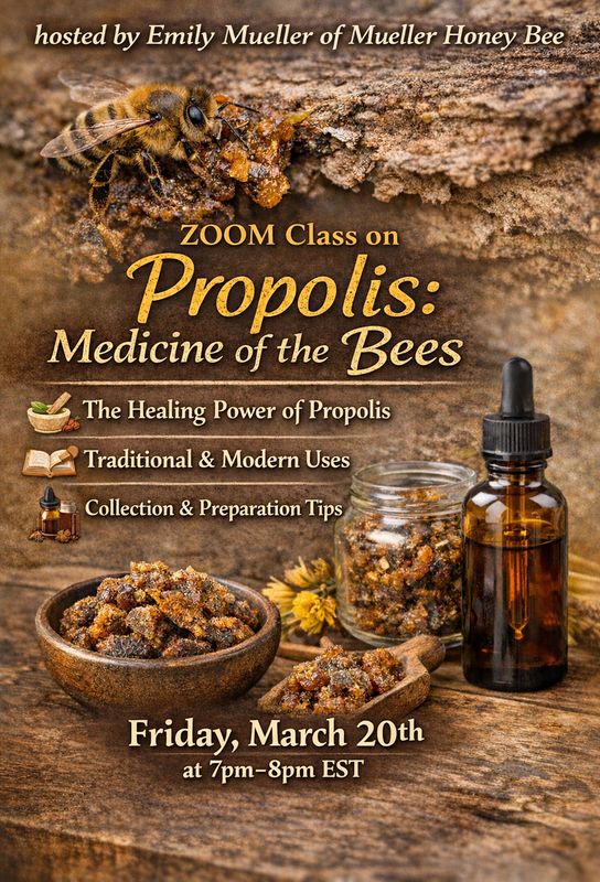 ZOOM Class on Propolis : Medicine of the Bees - Friday March 20th at 7pm-8pm EST (Please read the description for important information)