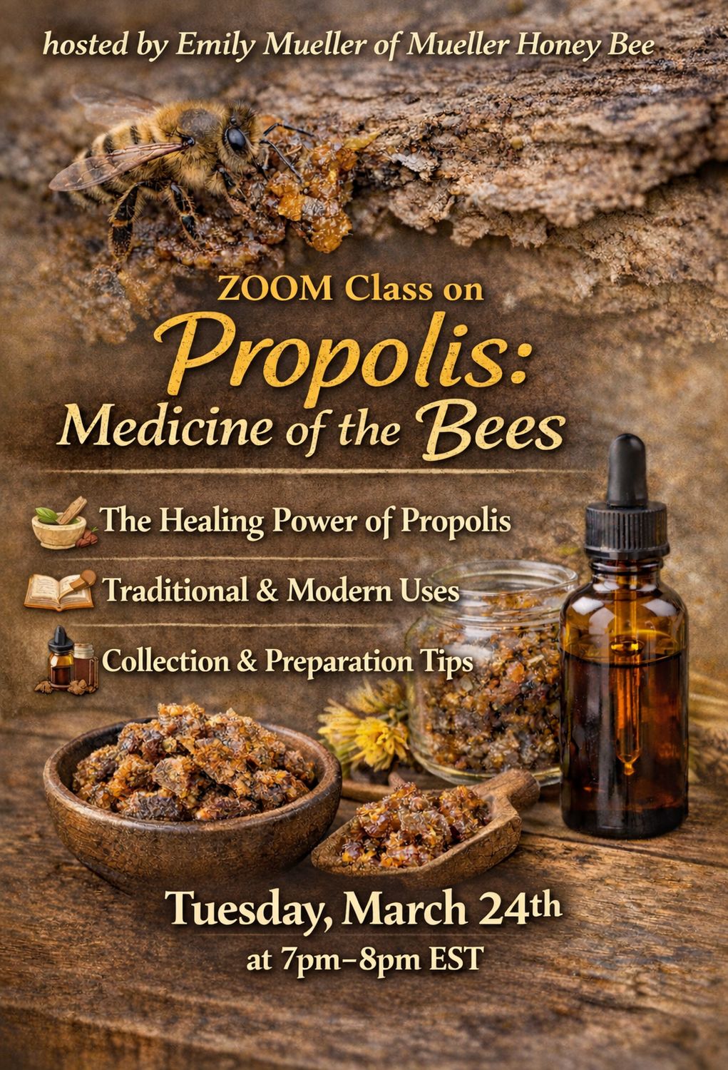 ZOOM Class on Propolis : Medicine of the Bees - Tuesday, March 24th at 7pm-8pm EST (Please read the description for important information)