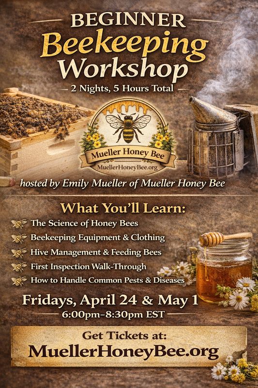 ZOOM Class for Beginner Beekeeping Workshop (2 nights) Friday, April 24 &amp; Friday May 1 6pm-8:30pm