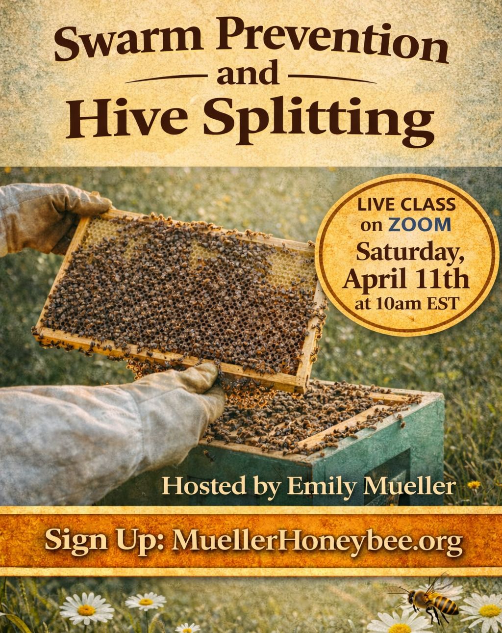 Swarm Prevention and Hive Splitting Zoom Class April 11th at 10am EST