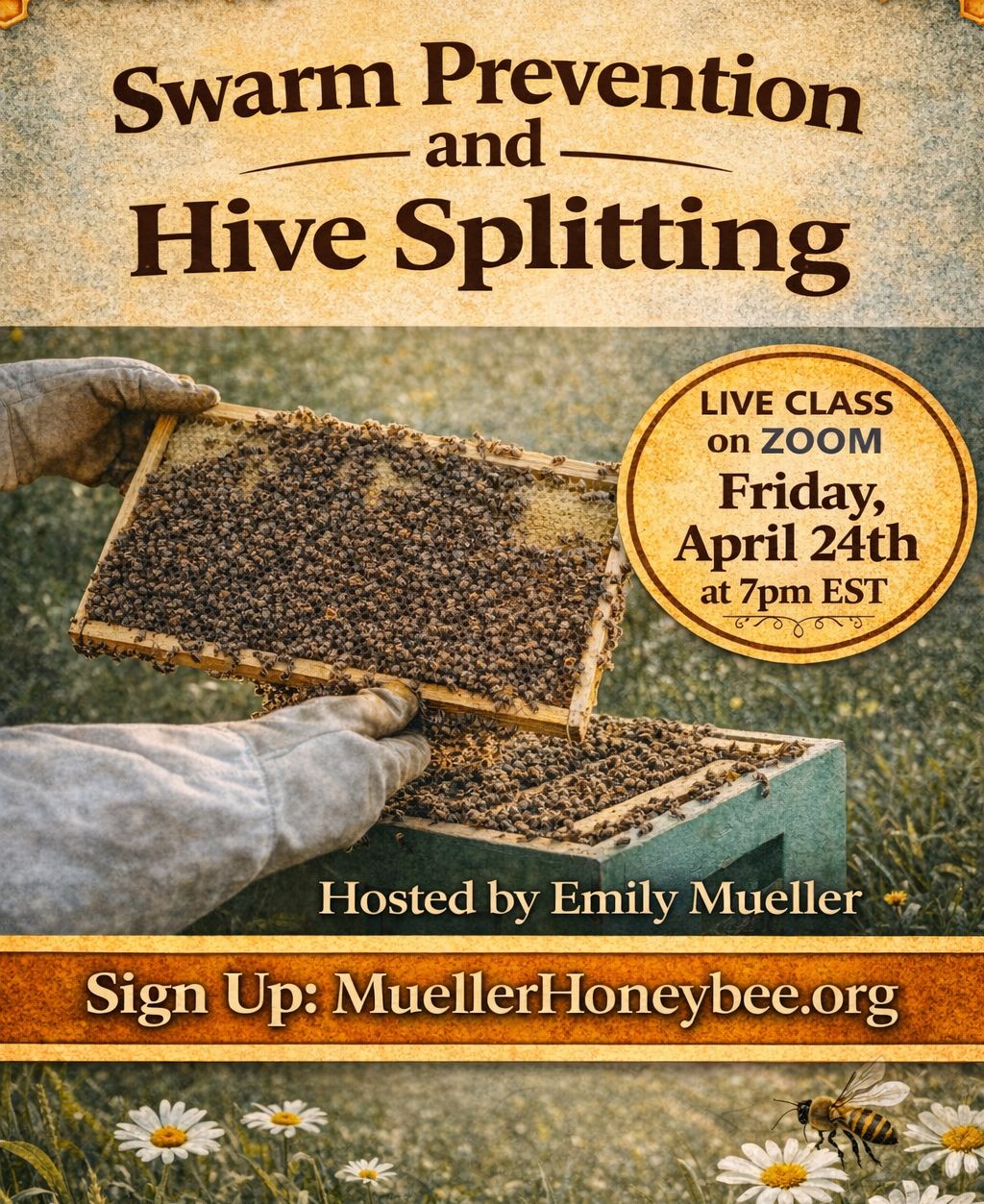 Swarm Prevention and Hive Splitting Zoom Class April 24th at 7pm EST