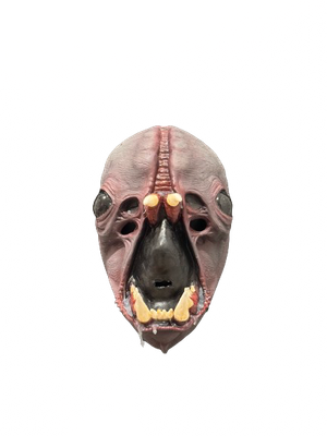 Visitor