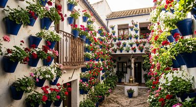 Excursión a los Patios de Córdoba - 16 de Mayo