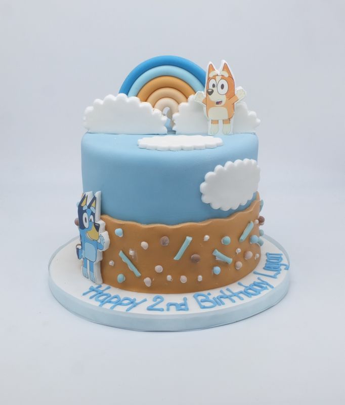 Bluey Cake