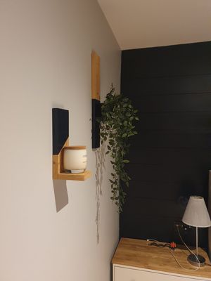 Decorative Shelf (small)