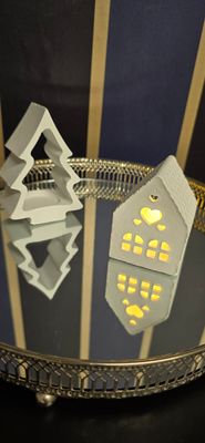 Miniature House