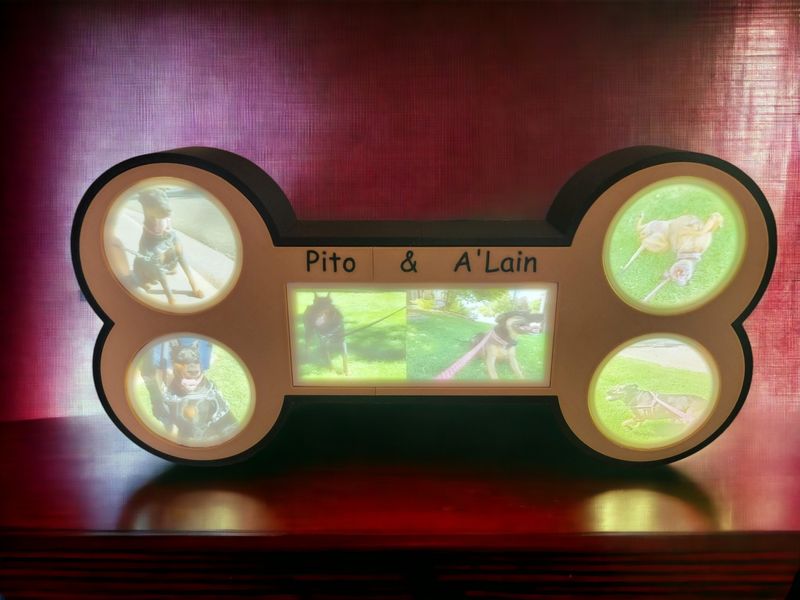 Customizable, Dog Bone Shaped Lithophane Display