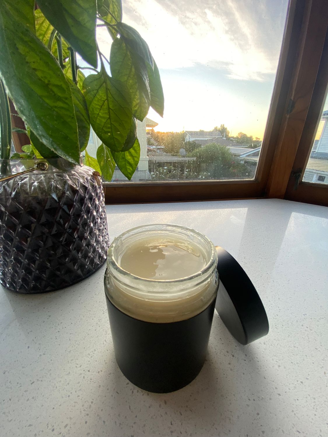 Sea Moss Gel