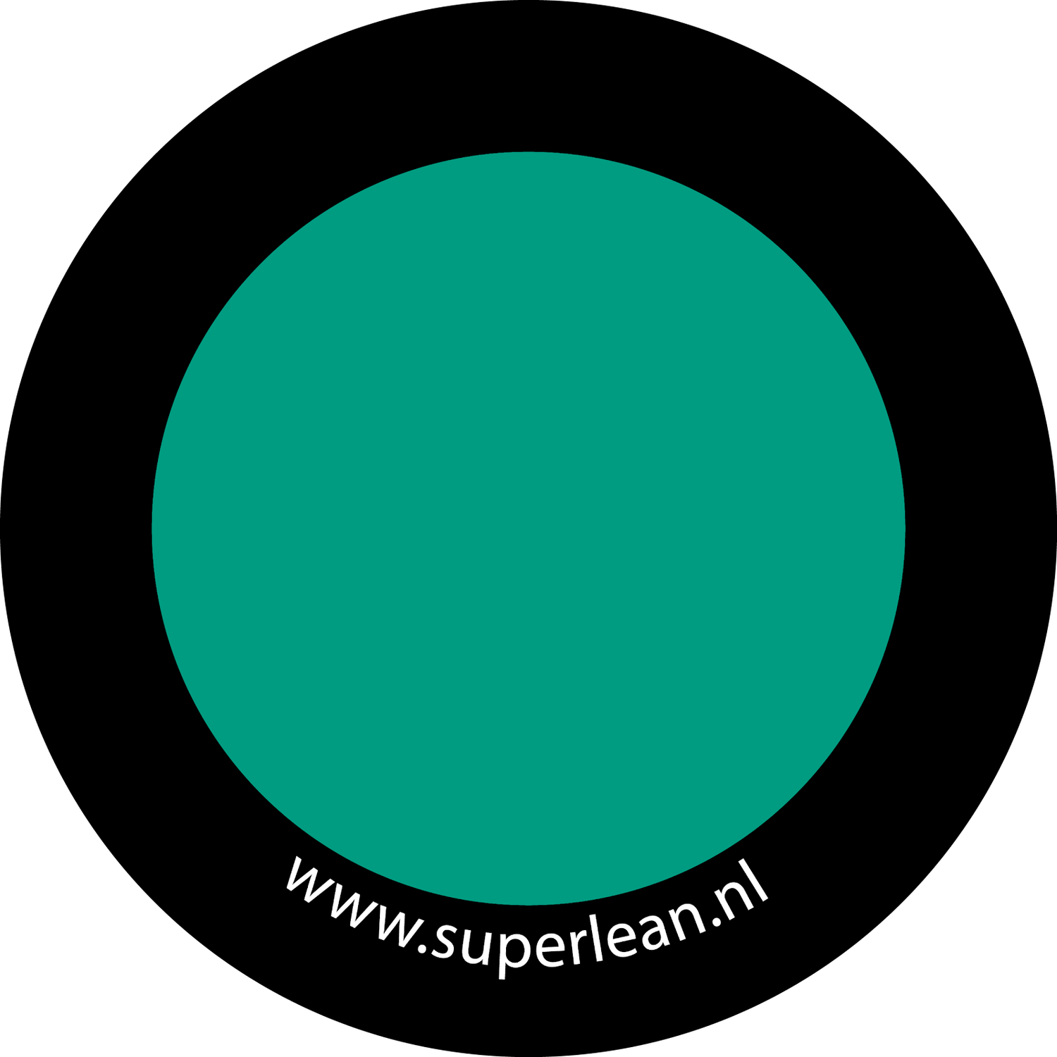 Magneet 156