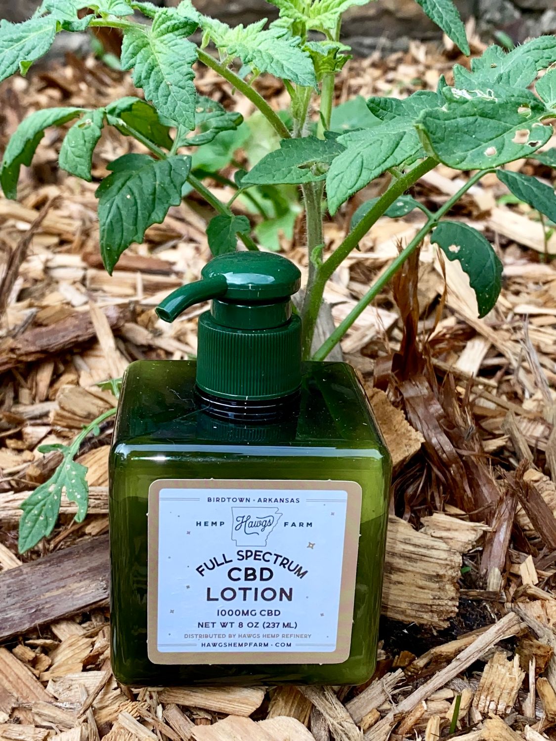 CBD Lotion - 8 oz
