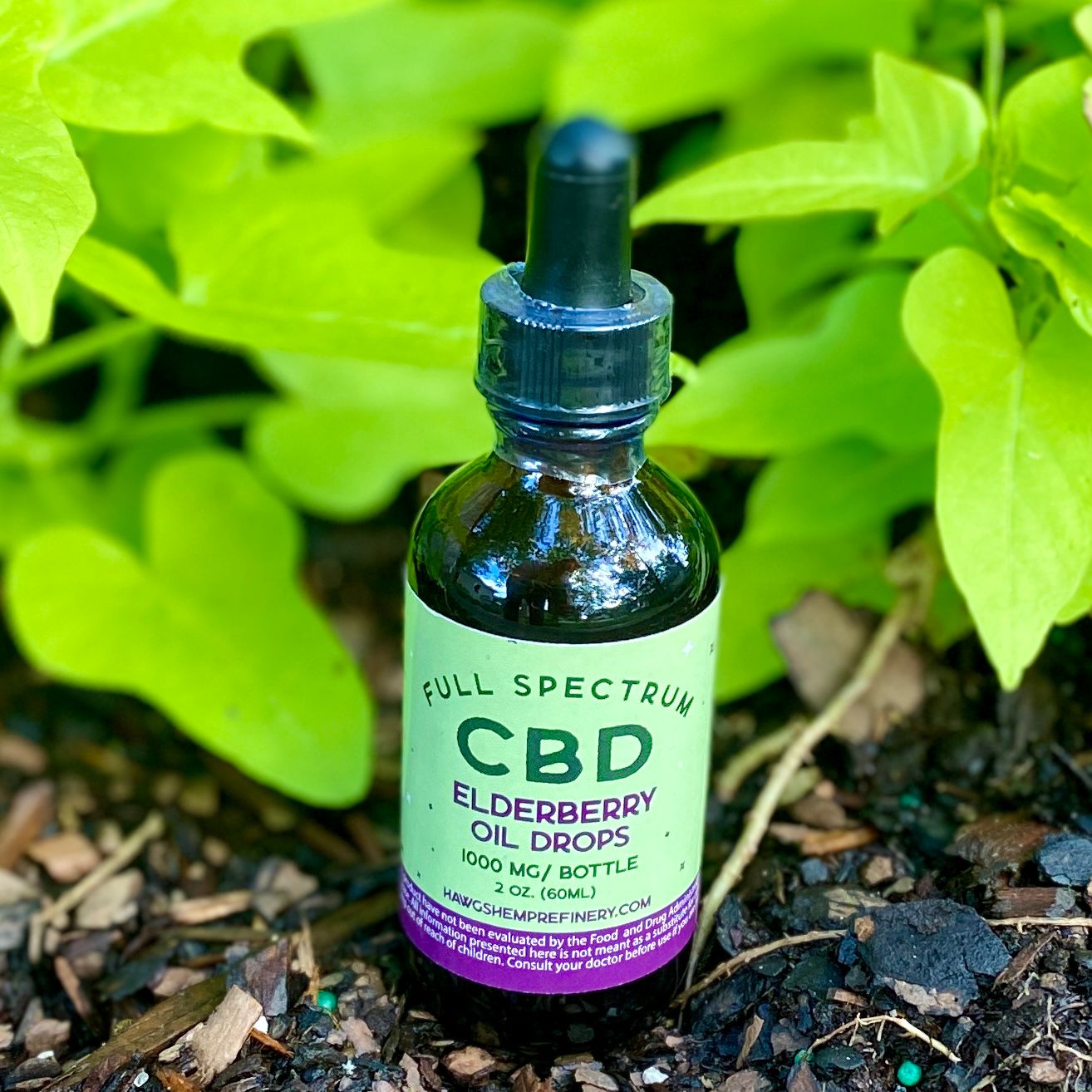 Oil Drops - Elderberry