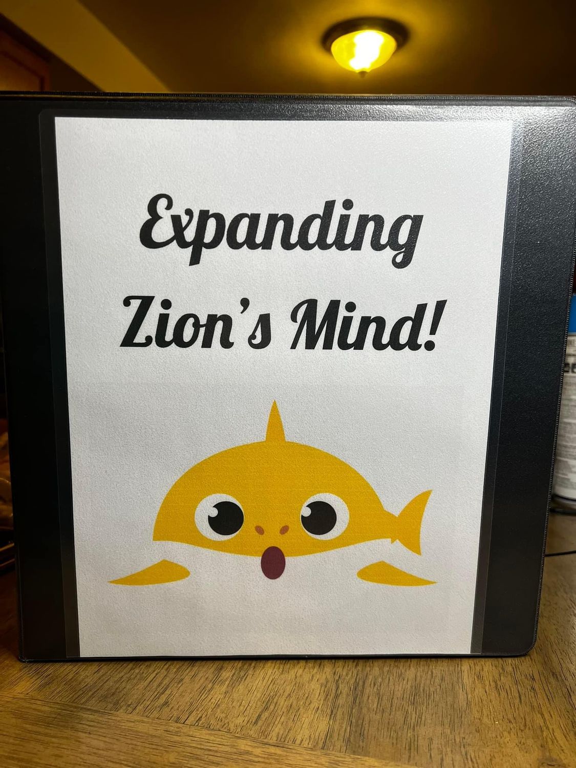 Toddler Customized Binders