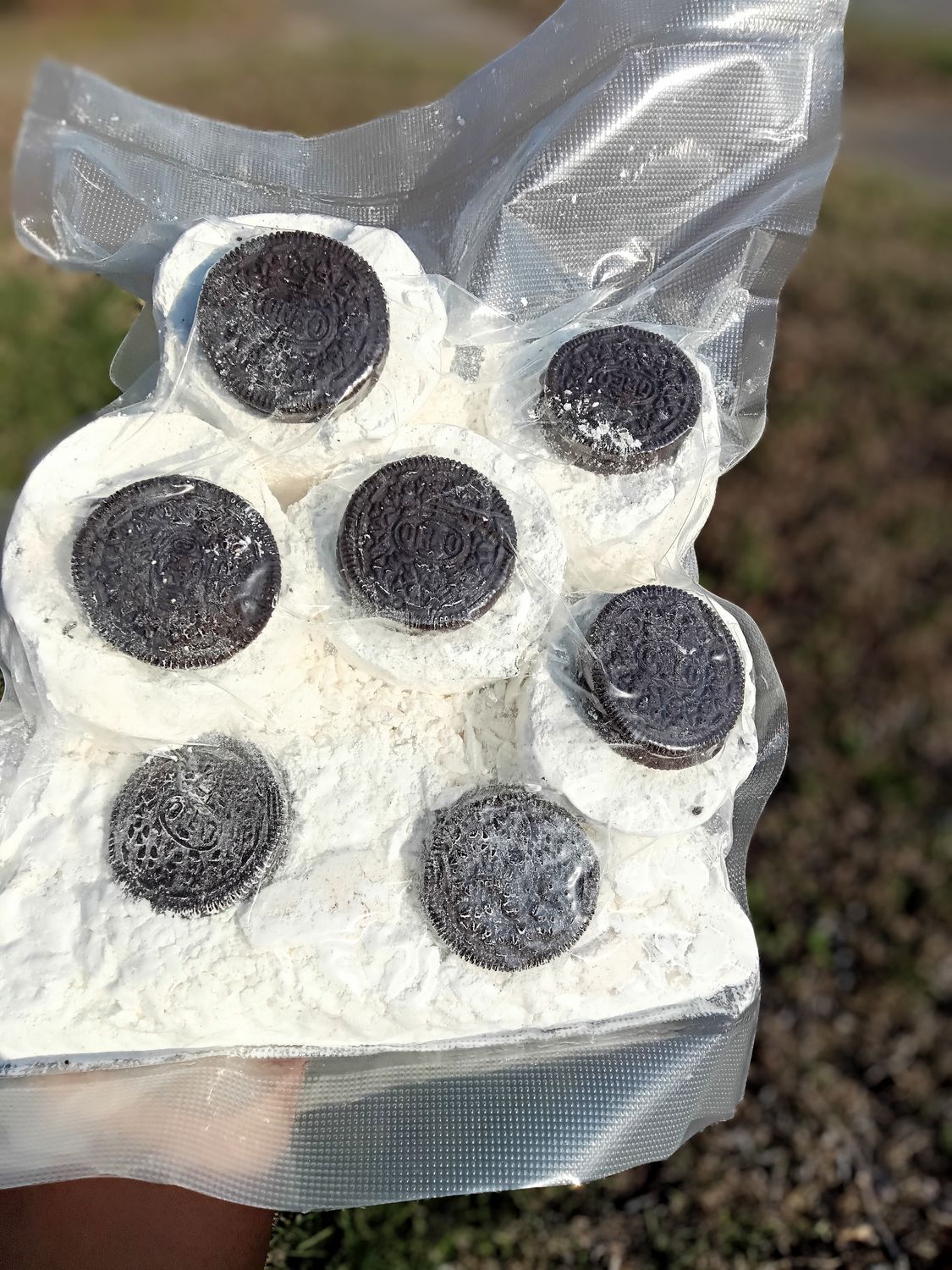 Cookies &amp; Cream Big Cruncher