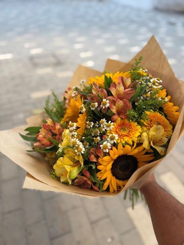 חמניות מהשדה