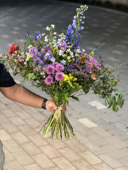 זר פרדס חנה