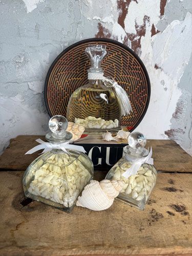 מפיץ ריח צדפים