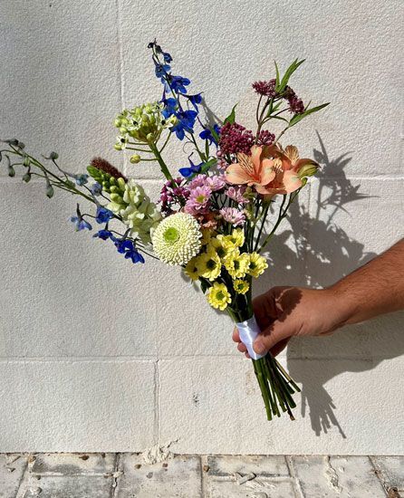 8. זר שדה פרוע