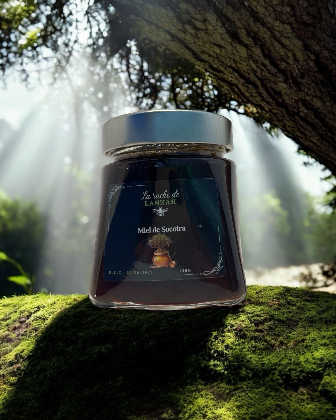 Miel de Socotra