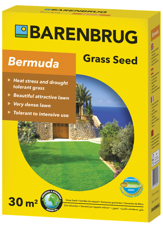 BERMUDA MONACO