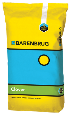 LAWN CLOVER