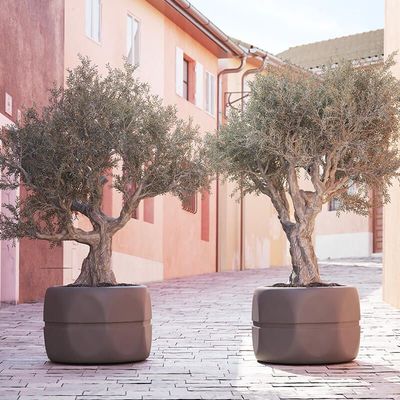 OTTANTE Vaso ottagonale