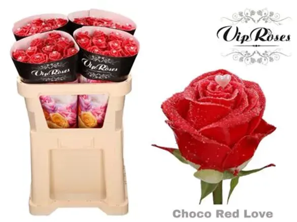 Rosa Rossa  R Gr Vip Choco Red Love