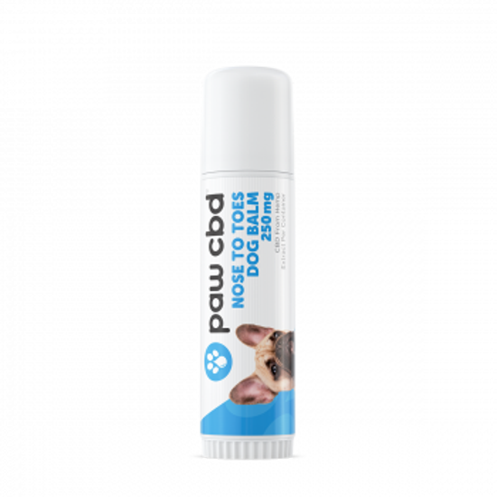 Paw CBD Nose to Toe Dog Balm