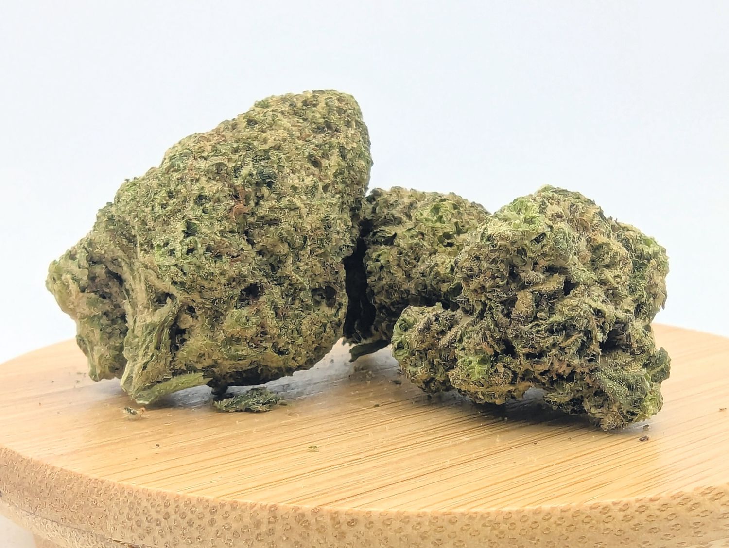 Tangie Hemp Flower
