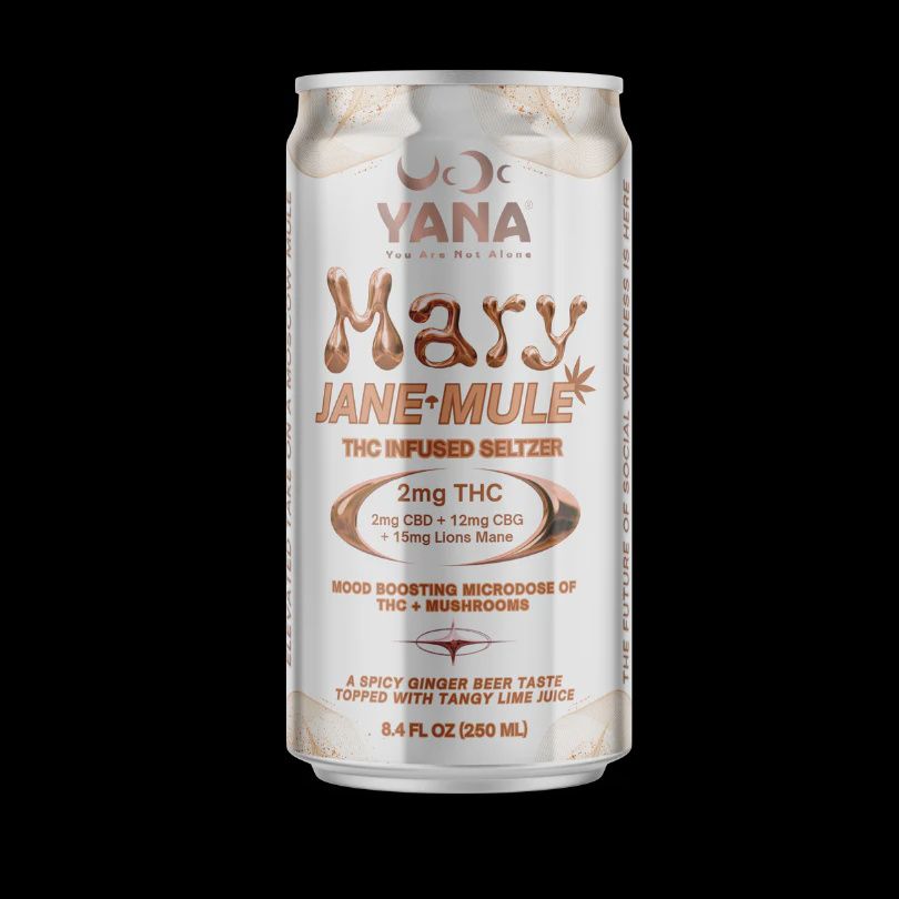 Yana Wellness Mary Jane Mule Seltzer