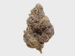 Peanut Butter Breath Hemp Flower
