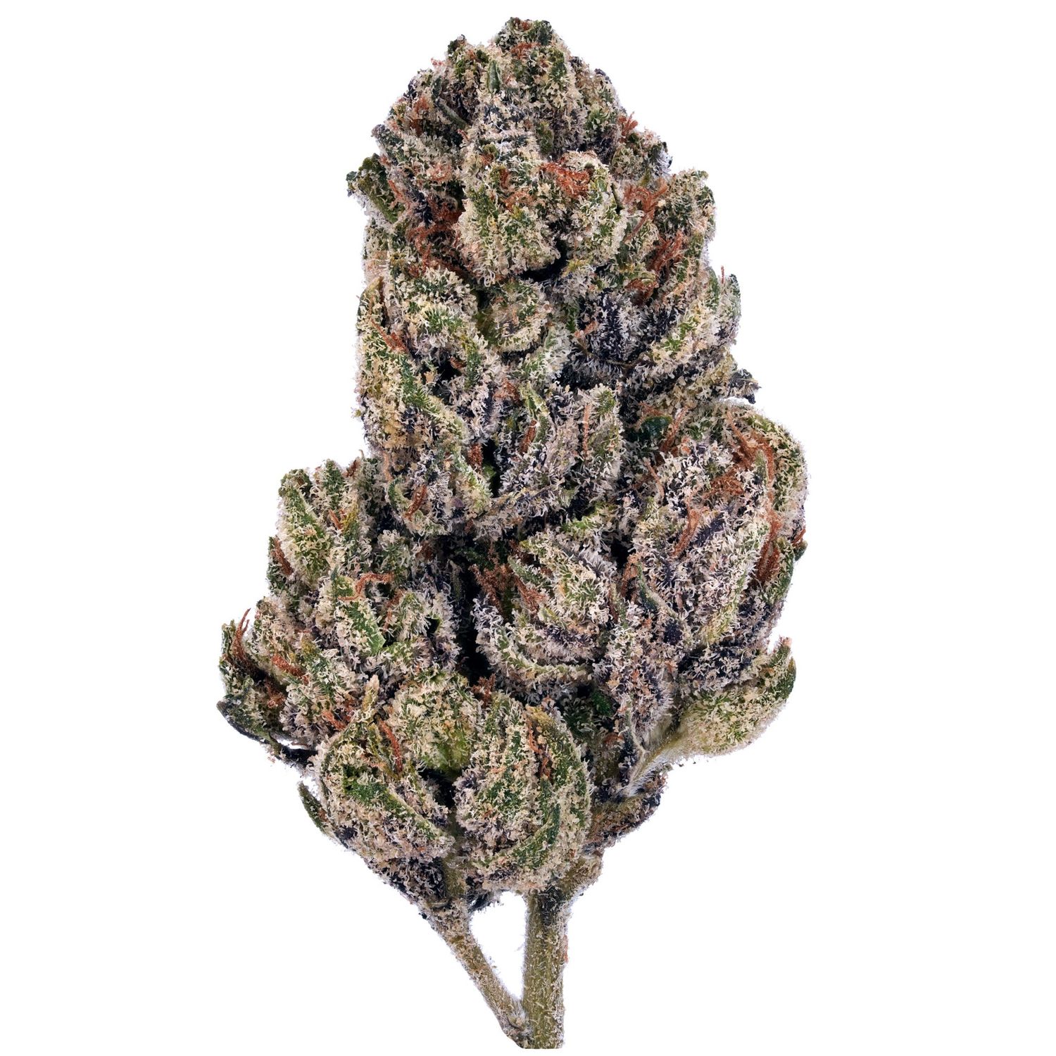 Cherry Pie Hemp Flower