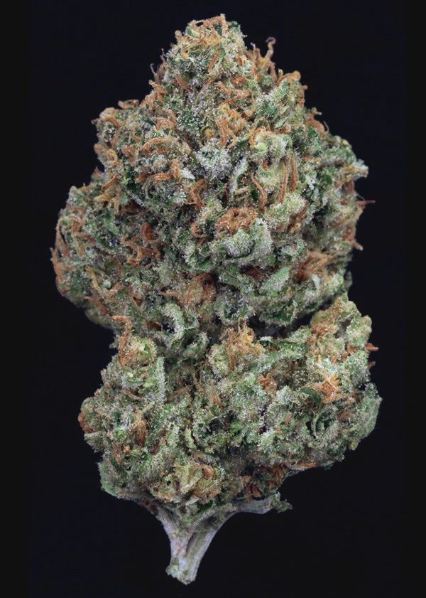 Durban Poison Hemp Flower