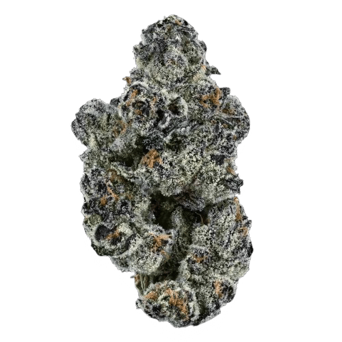 Blue Lobster Hemp Flower