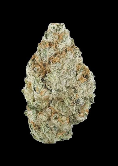 White Cherry Gelato Hemp Flower