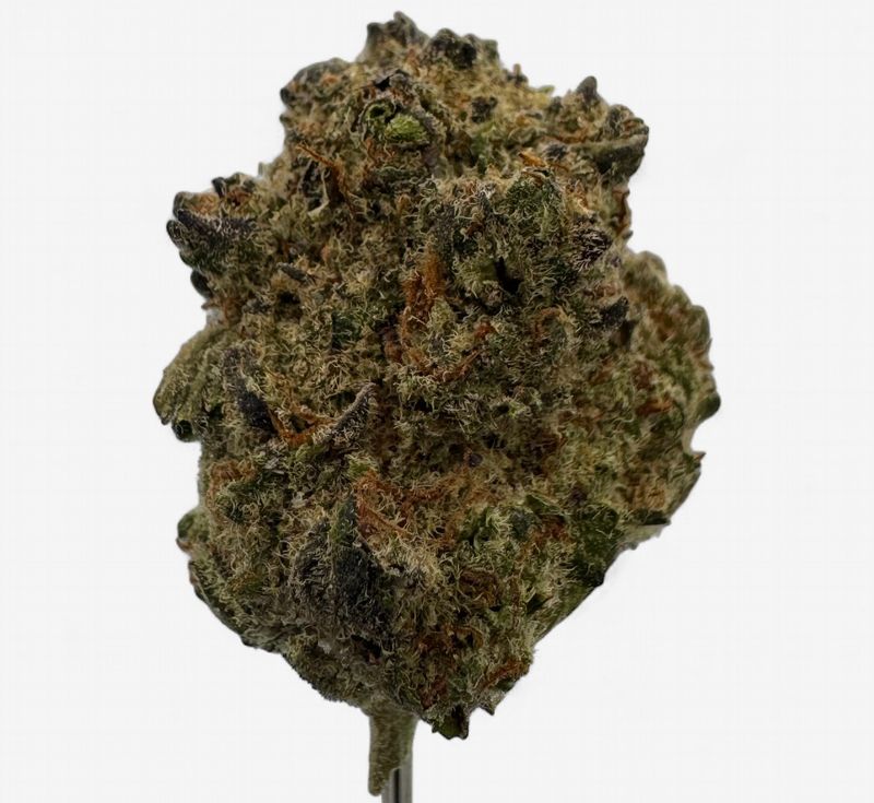 Pure Michigan  Hemp Flower