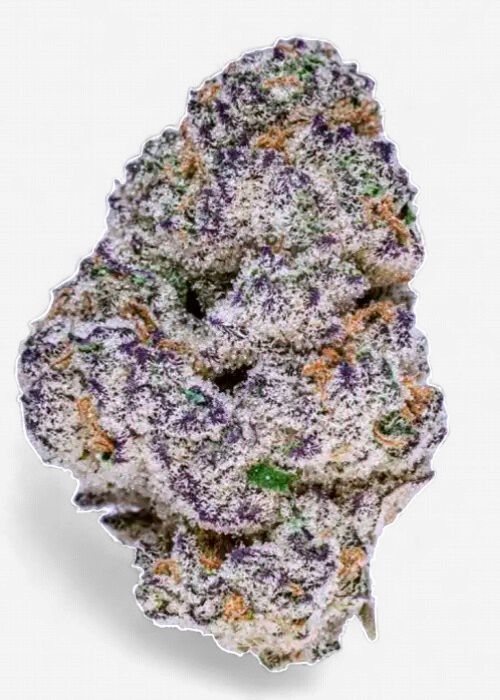 Slurricane Exotic  Hemp Flower