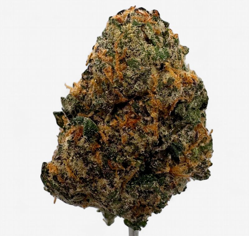 Slurricane Exotic  Hemp Flower