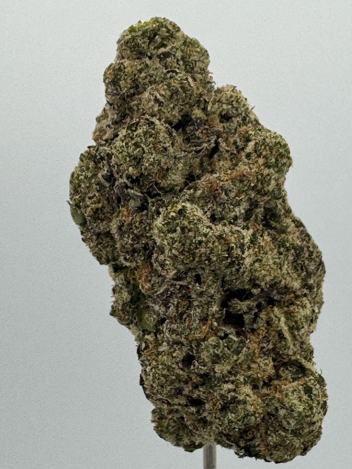 9lb Hammer Hemp Flower