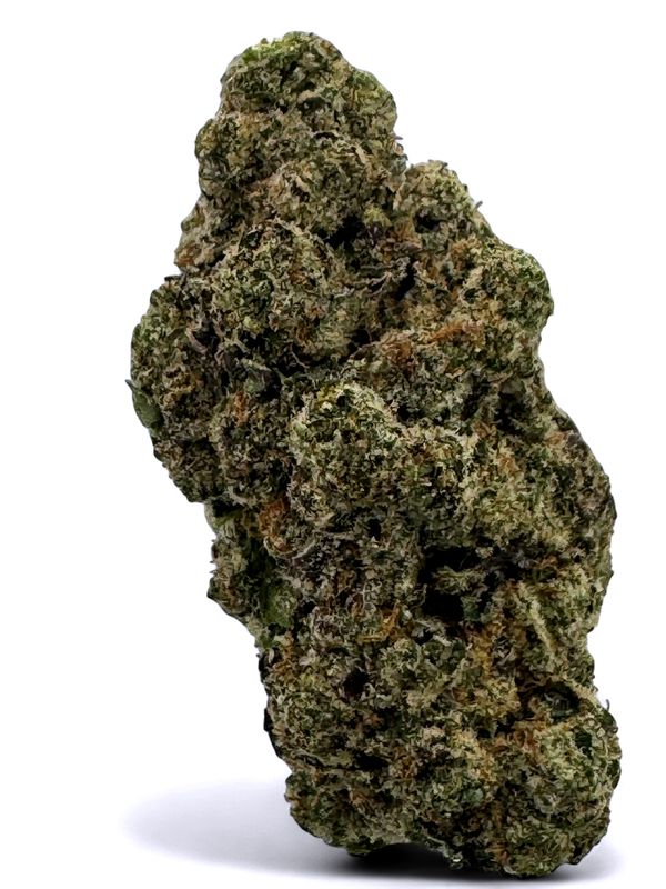 9lb Hammer Hemp Flower